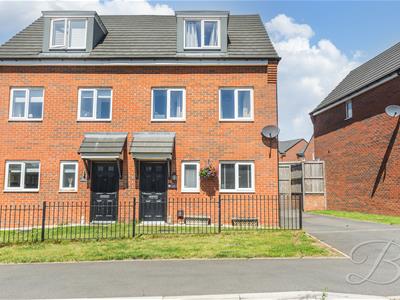 Picture 31